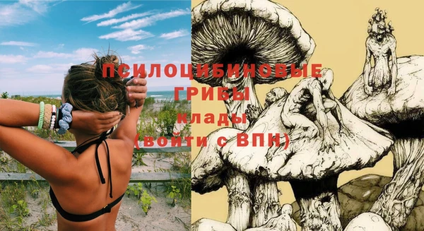 марки nbome Алзамай