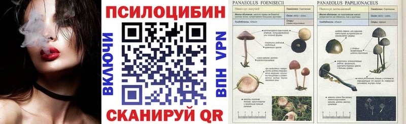 купить  сайты  Лабытнанги  Галлюциногенные грибы мухоморы 